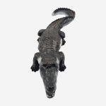 krokodilas