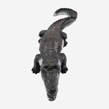 krokodilas