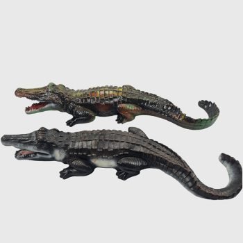 krokodilas