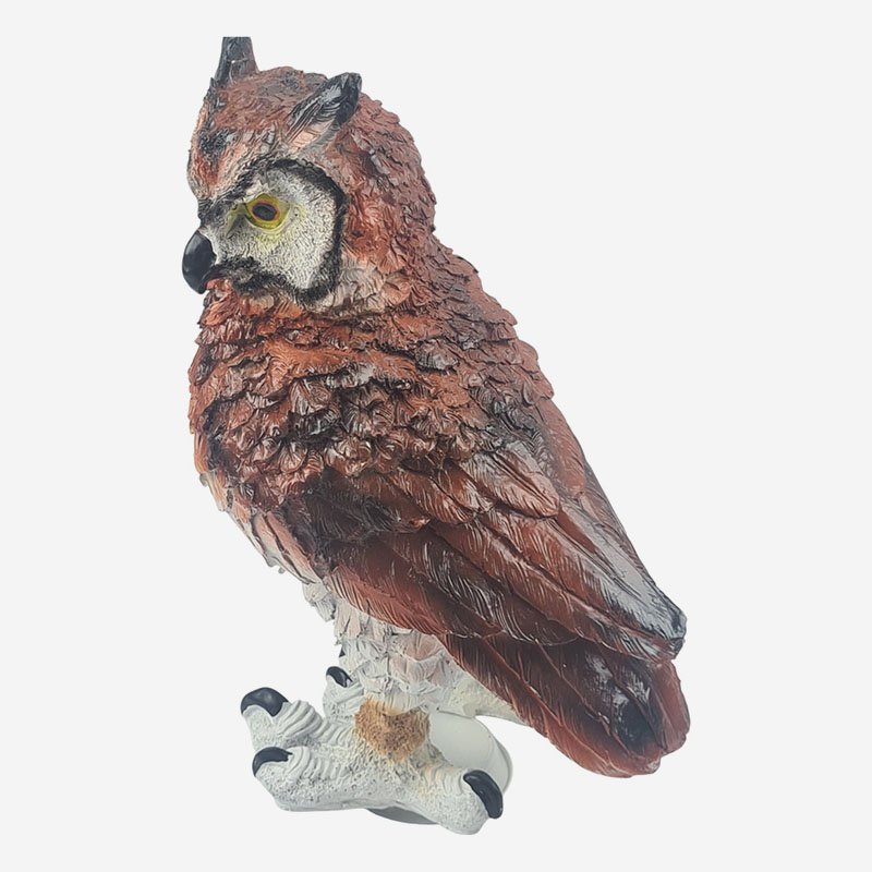 peleda