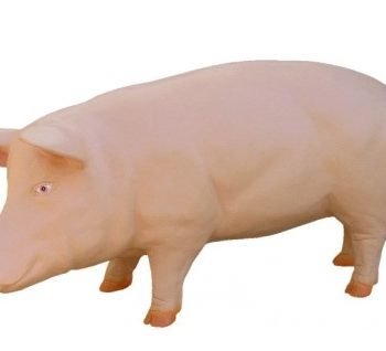 Kiemo dekoracija KIAULĖ