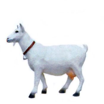 Gyvūnai