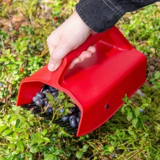 Plastikinis uogų rinktuvas